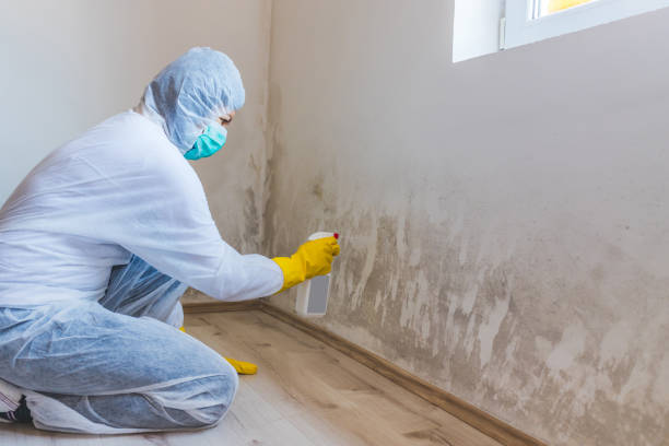 Licensed Crawl Space Mold Removal service in Dillsburg, PA - WQB Mold Removal