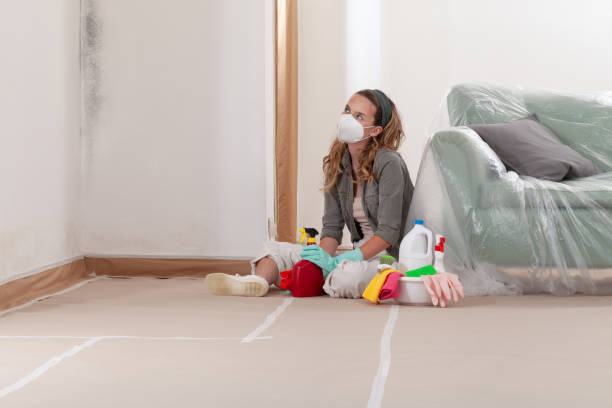 Reliable Crawl Space Mold Removal contractor in Dillsburg, PA by WQB Mold Removal